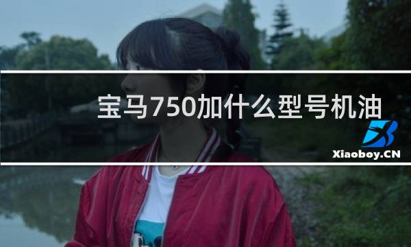 宝马750加什么型号机油