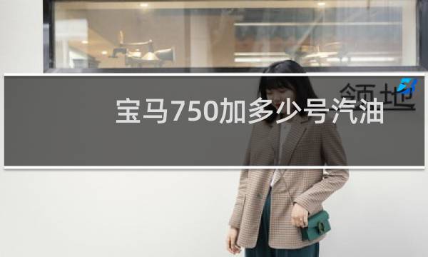 宝马750加多少号汽油
