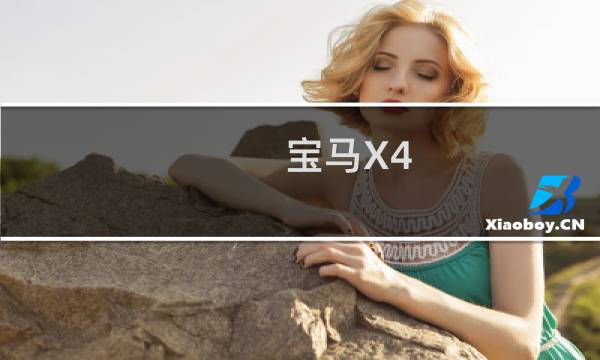 宝马X4:16款宝马X4五座中东版性能实测图片
