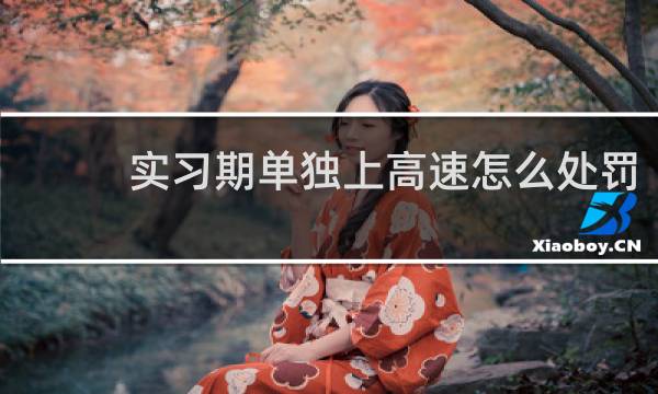 实习期单独上高速怎么处罚