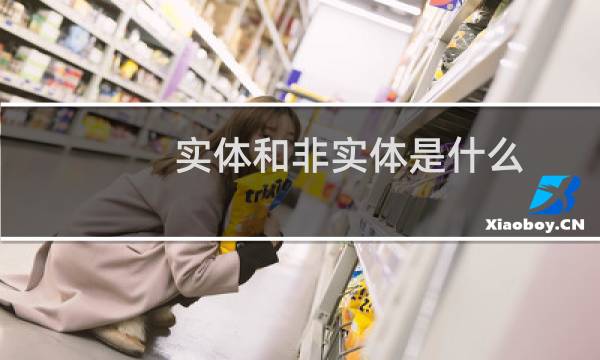 实体和非实体是什么
