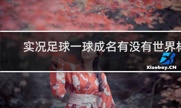 实况足球一球成名有没有世界杯