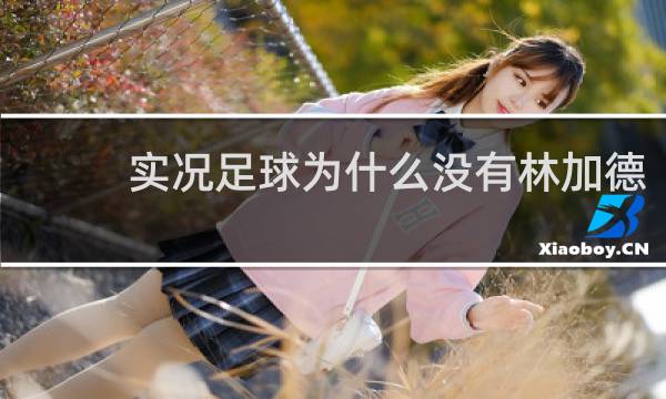 实况足球为什么没有林加德