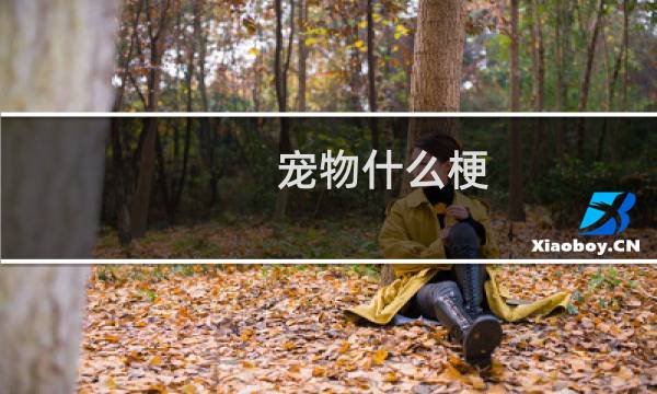 宠物什么梗？宠物是什么意思什么梗
