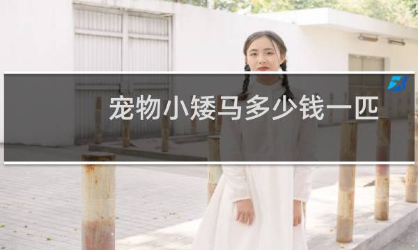 宠物小矮马多少钱一匹