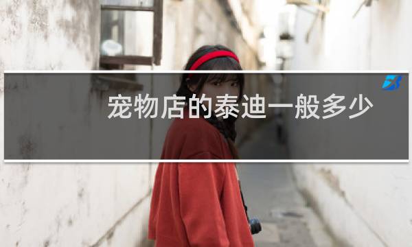 宠物店的泰迪一般多少钱一只（泰迪狗多少钱一只宠物店的价格在1000左右）