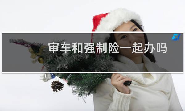 审车和强制险一起办吗图片