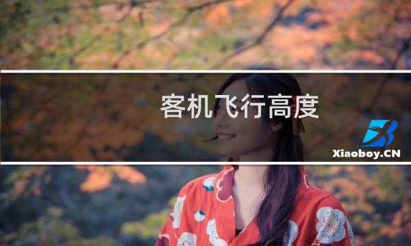 客机飞行高度