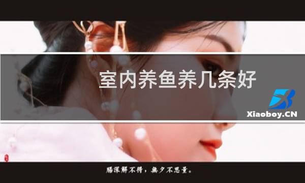 室内养鱼养几条好