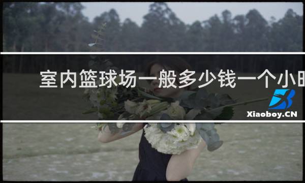 室内篮球场一般多少钱一个小时