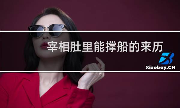 宰相肚里能撑船的来历