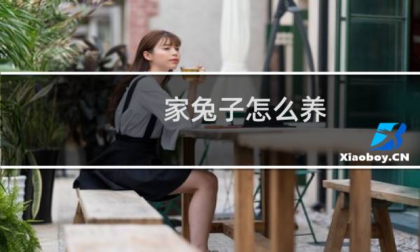 家兔子怎么养图片
