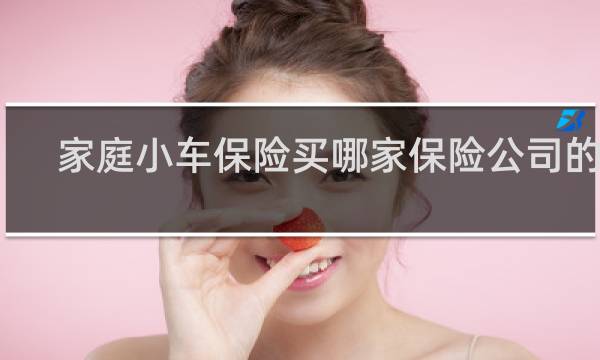 家庭小车保险买哪家保险公司的好