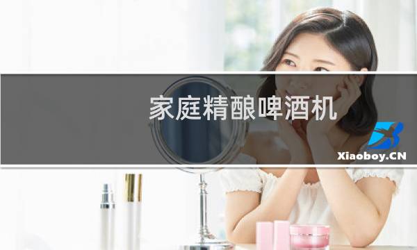 家庭精酿啤酒机