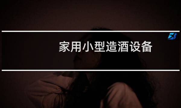 家用小型造酒设备