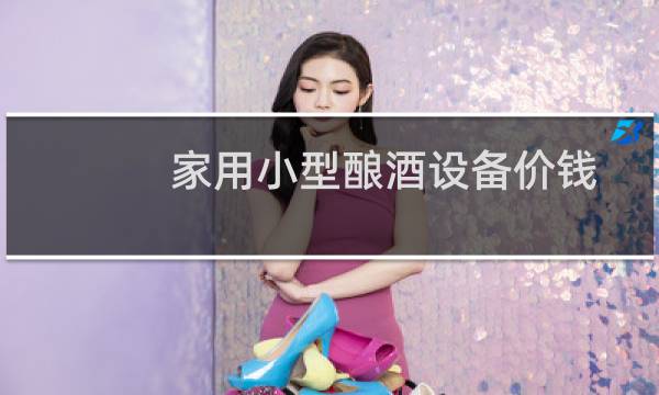 家用小型酿酒设备价钱图片