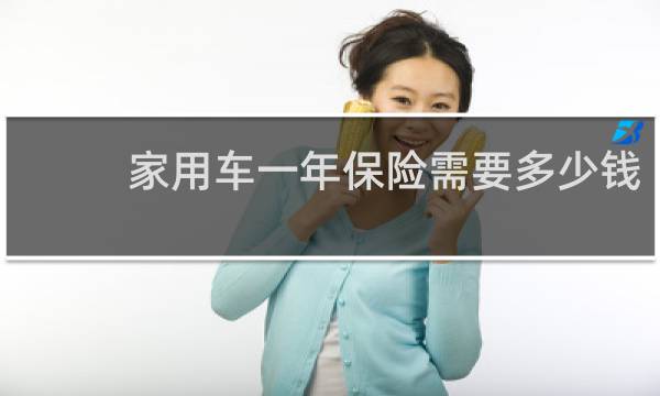 家用车一年保险需要多少钱