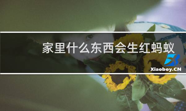 家里什么东西会生红蚂蚁
