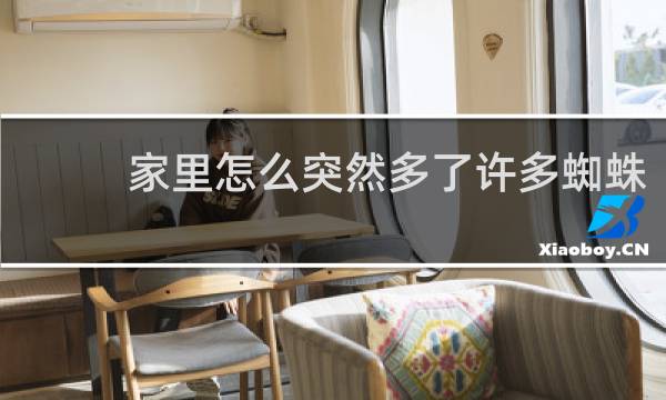 家里怎么突然多了许多蜘蛛