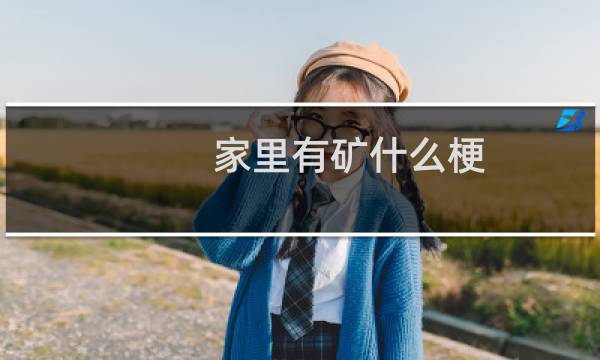 家里有矿什么梗