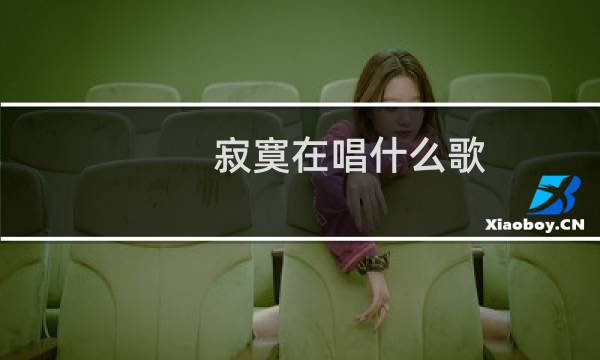 寂寞在唱什么歌图片