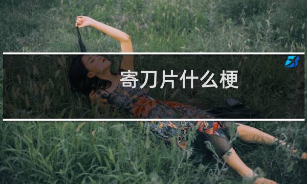 寄刀片什么梗