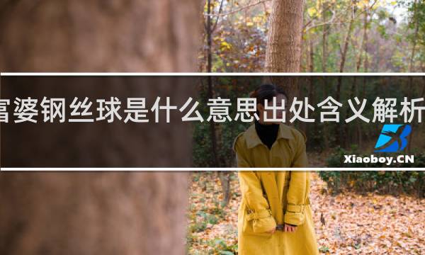 富婆钢丝球是什么意思出处含义解析什么梗