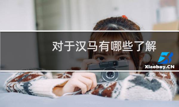 对于汉马有哪些了解