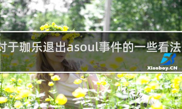对于珈乐退出asoul事件的一些看法什么梗