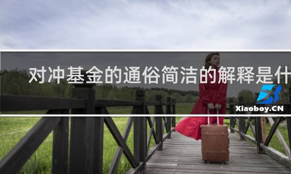 对冲基金的通俗简洁的解释是什么