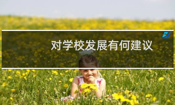 对学校发展有何建议