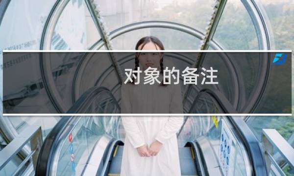 对象的备注（对象名无效）图片