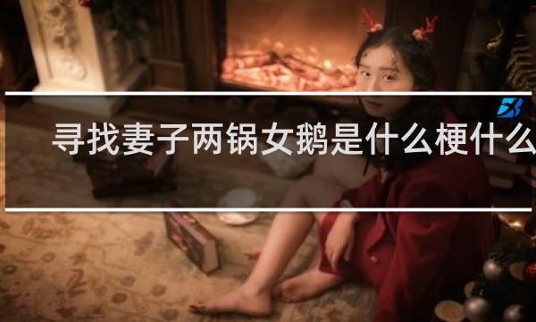 寻找妻子两锅女鹅是什么梗什么梗