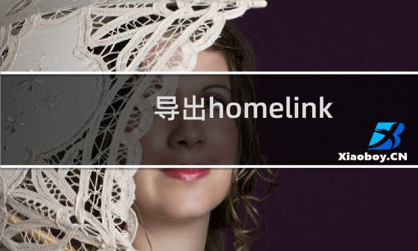 导出homelink域名所有的解析