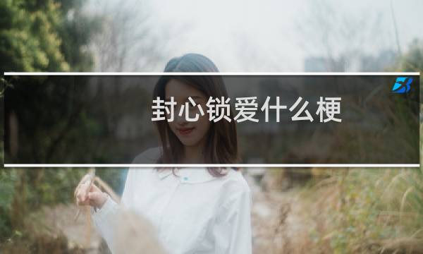 封心锁爱什么梗？什么梗