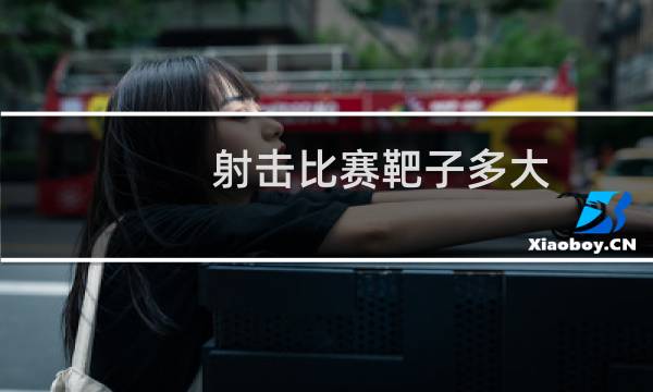 射击比赛靶子多大