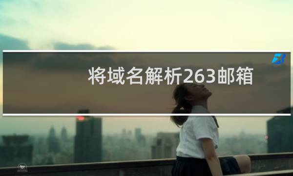 将域名解析263邮箱服务器可能存在问题