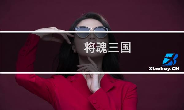将魂三国