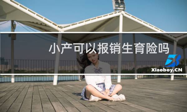 小产可以报销生育险吗图片