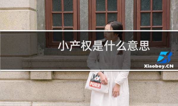 小产权是什么意思图片