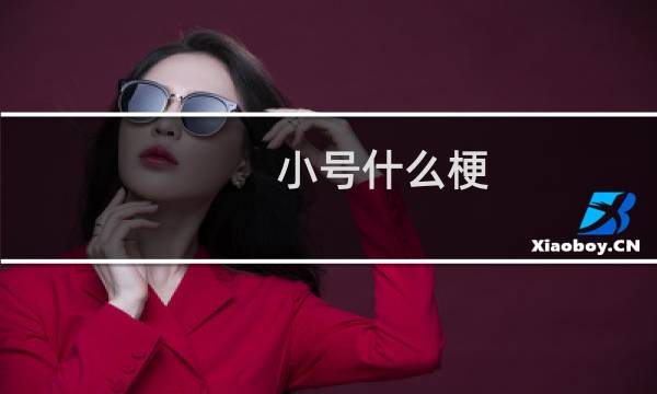 小号什么梗