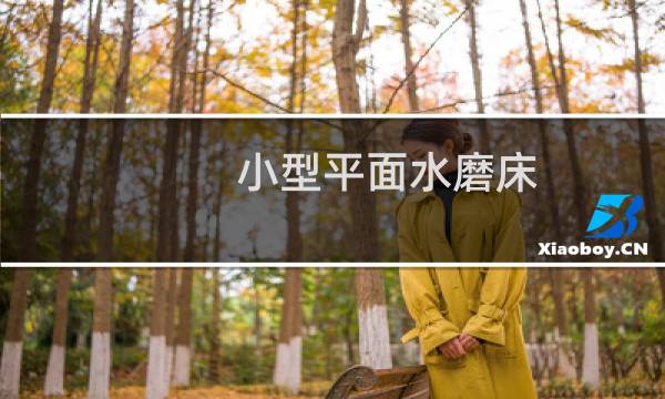小型平面水磨床
