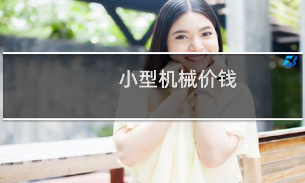 小型机械价钱