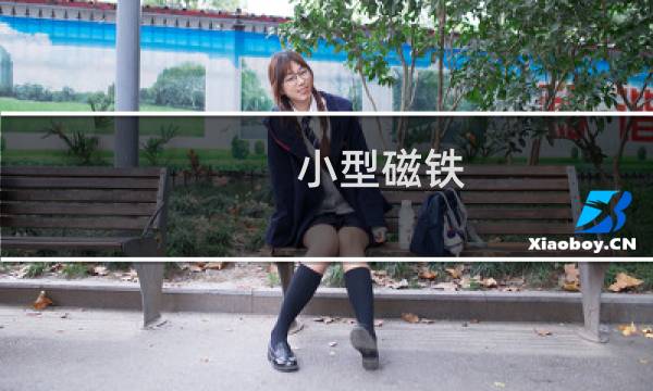 小型磁铁