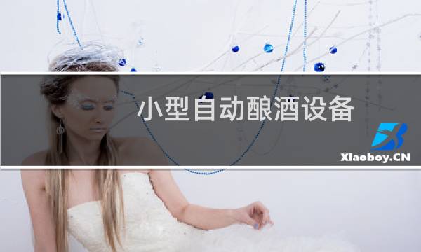 小型自动酿酒设备