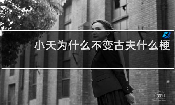 小天为什么不变古夫什么梗