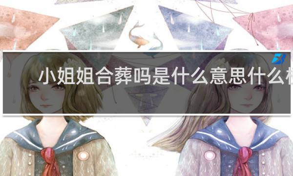 小姐姐合葬吗是什么意思什么梗