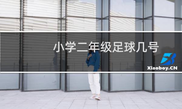 小学二年级足球几号