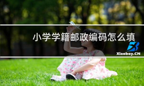 小学学籍邮政编码怎么填