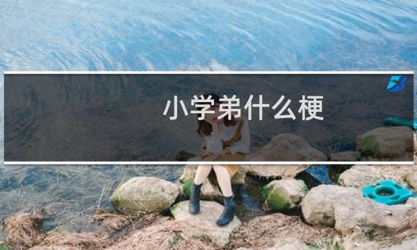 小学弟什么梗